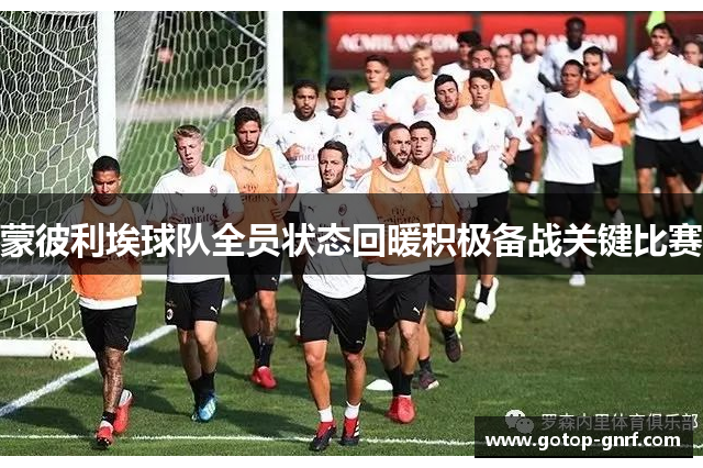 蒙彼利埃球队全员状态回暖积极备战关键比赛