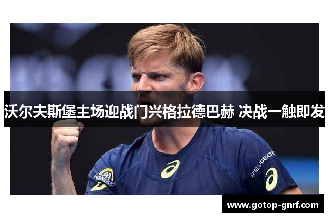 沃尔夫斯堡主场迎战门兴格拉德巴赫 决战一触即发