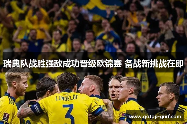 瑞典队战胜强敌成功晋级欧锦赛 备战新挑战在即
