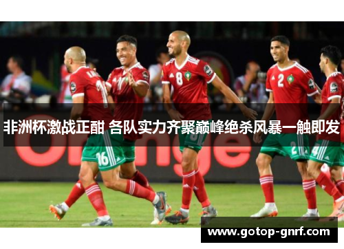 非洲杯激战正酣 各队实力齐聚巅峰绝杀风暴一触即发