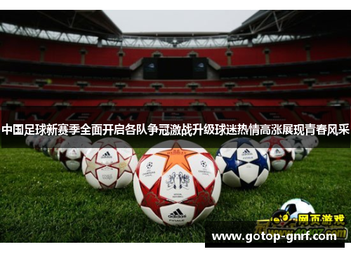 中国足球新赛季全面开启各队争冠激战升级球迷热情高涨展现青春风采